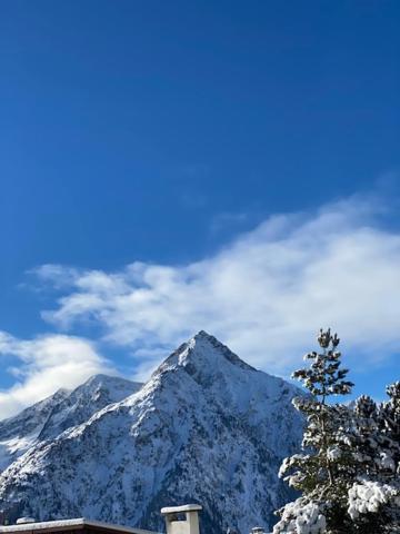 Studio 2 Alpes Style Chalet Au Pied De Telesiege Du Diable Ле дез Альп Экстерьер фото